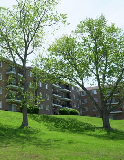A sunny day showcases a grassy hill with two lush trees in the foreground, and a modern, multi-story brick apartment building with balconies in the background.