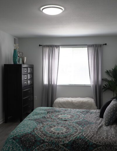 A modern bedroom featuring a patterned teal and gray bedding set, a black dresser, bedside table with a lamp, and a large window draped with sheer curtains. two decorative plants add freshness to the room.
