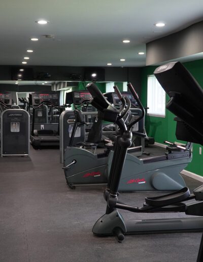 A modern gym interior featuring a variety of exercise machines including treadmills and elliptical trainers, with a muted color scheme and green accent walls.